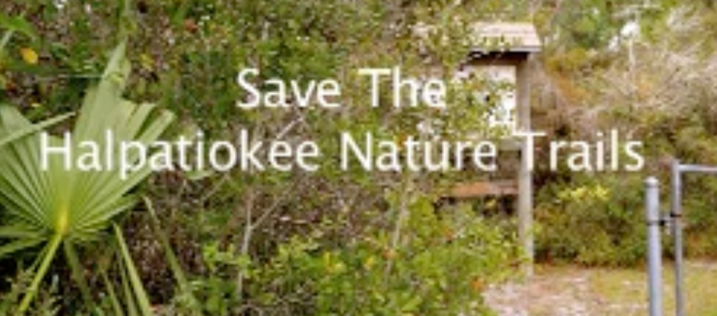 Save the Halpatiokee wetlands