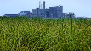 A sugar refinery in the Everglades Agricultural Area. (Public photo.)