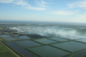 Sugar fields burning near Clewiston. (Photo JTL, 2014.)