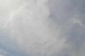 DSC_0058