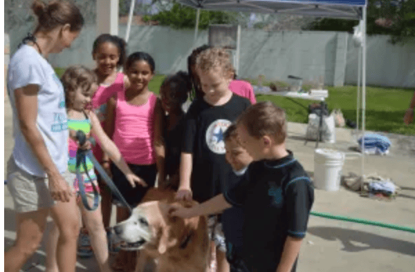 Very Old Stinky Dog gets washed by group of very good&nbsp;kids