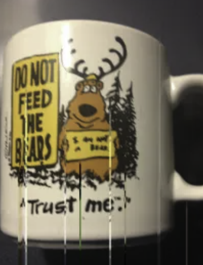 my bear mug from yellowstone