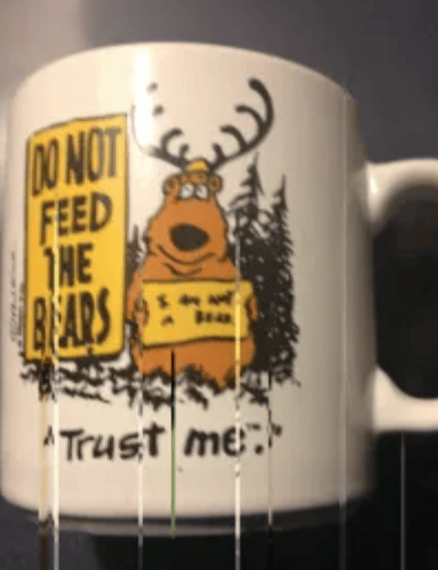 Trust me. I am not a bear.
