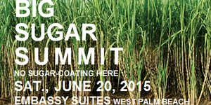 bigsugarsummit