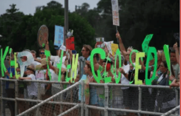 Preview of coming attractions: Toxic Algae and your&nbsp;Pets