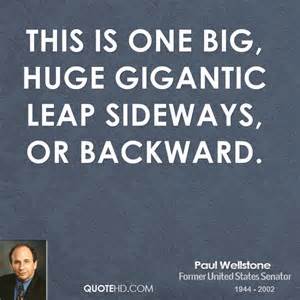 wellstone5