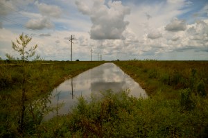 DSC_0089