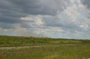DSC_0091