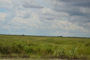 DSC_0092