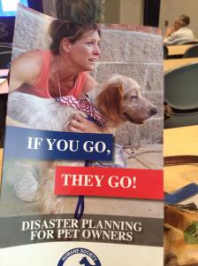 ifyougotheygo