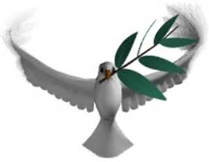 olive branch