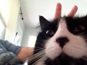 meme selfie