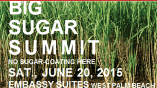 Big Sugar Summit