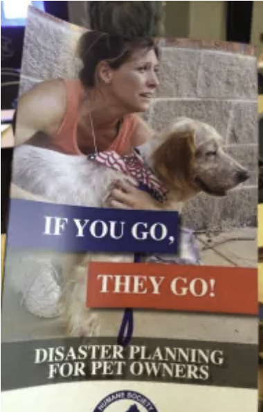 Where are the Pet-Friendly&nbsp;Shelters?