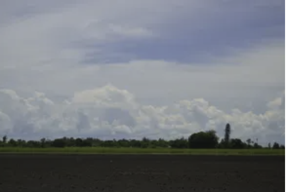 Sugar U: Effects of burning sugar cane on your lungs