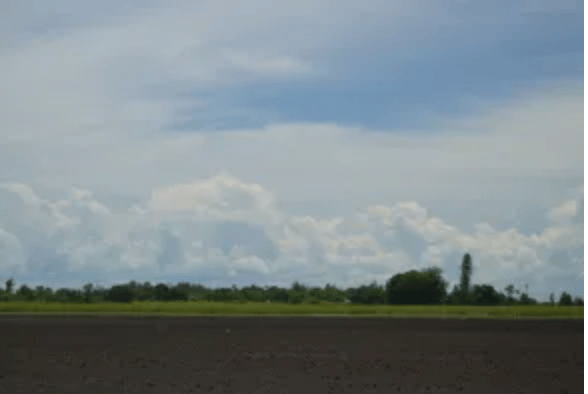 Sugar U: Effects of burning sugar cane on your&nbsp;lungs