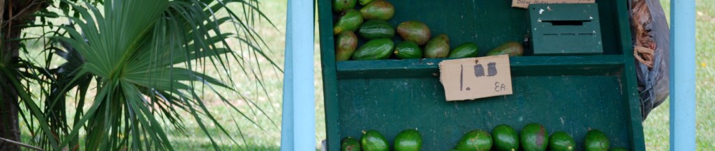 Fruit Stands are Ripe for&nbsp;Learning