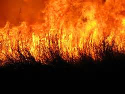 muck fires