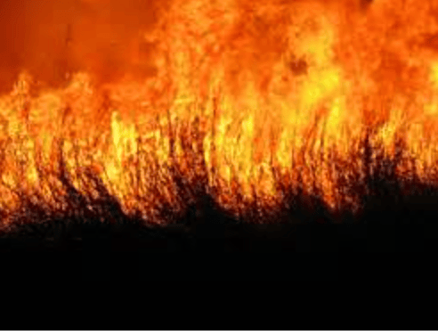 Florida Inc: It’s all about the water: muck fires and&nbsp;sinkholes
