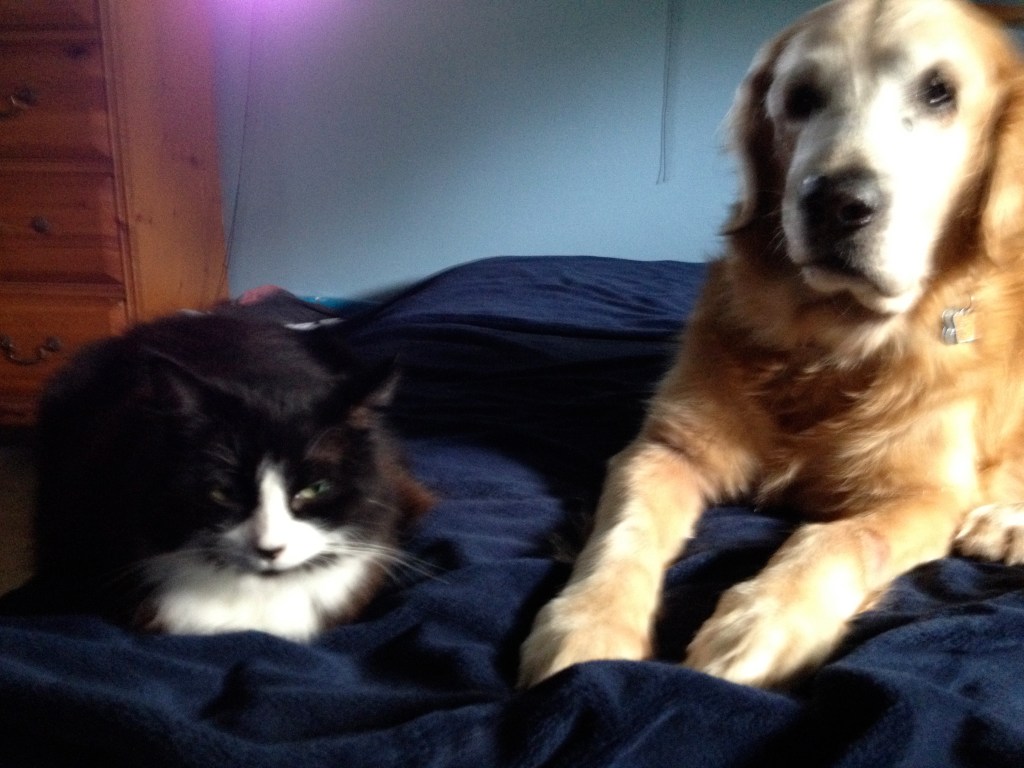 Happy 18th Birthday&nbsp;Barney!