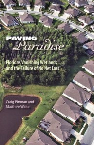paving-paradise-pittman-waite-cover-alt