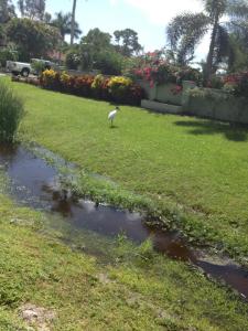 11954838_10206977152603706_5806072032000645428_n