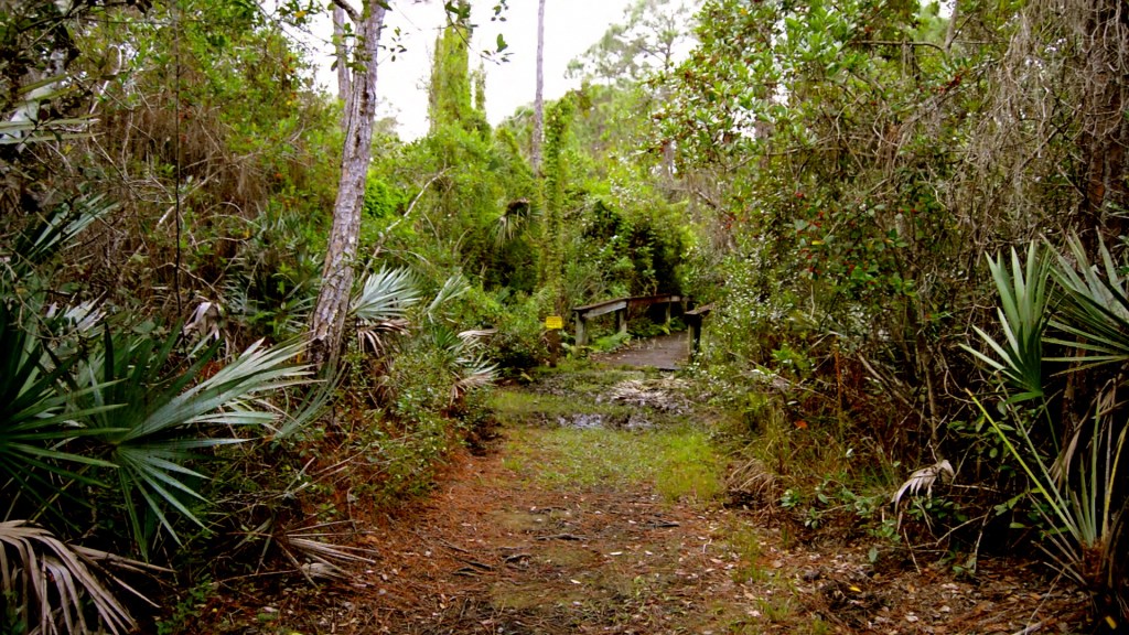 Save the Halpatiokee Nature Trails! Move the Bridge! Stop destroying&nbsp;us!
