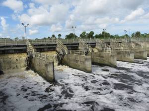 St Lucie Locks Martin County  rebeccca fatzinger