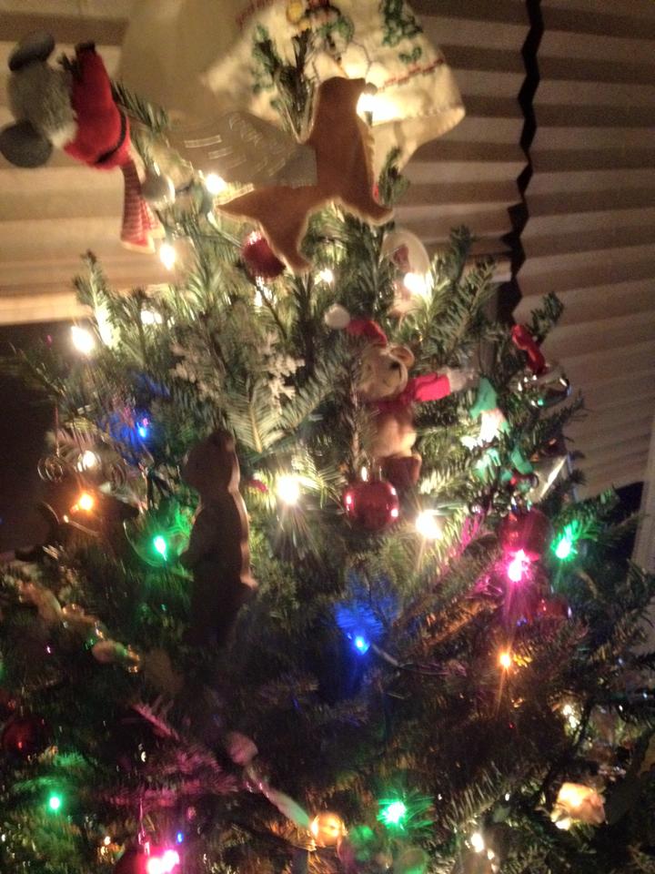 A Christmas Wish for you&nbsp;guys