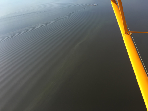 photo by jacqui thurlow lippish Indian river lagood with discharges from Lake Okeechobee.