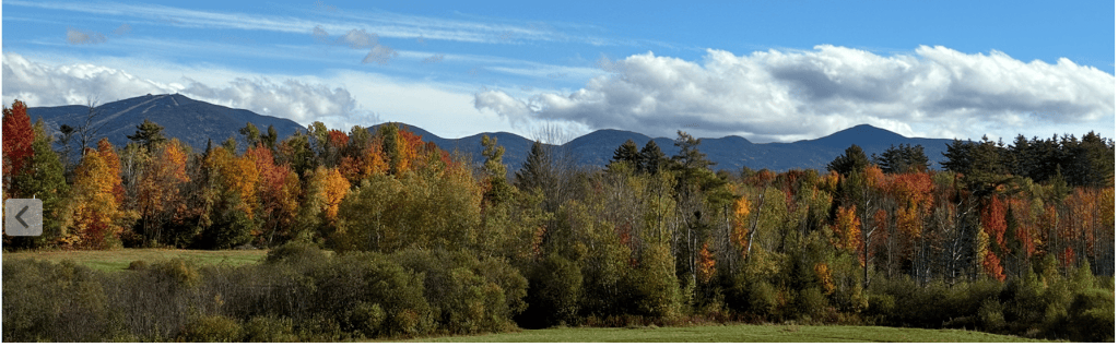Sugar Hill NH